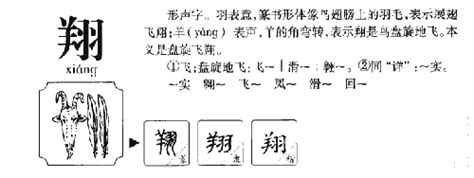 翔 五行|翔